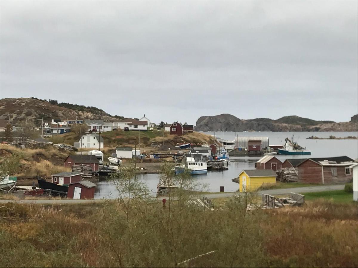 Whitsha Inn B&B Twillingate Exterior foto