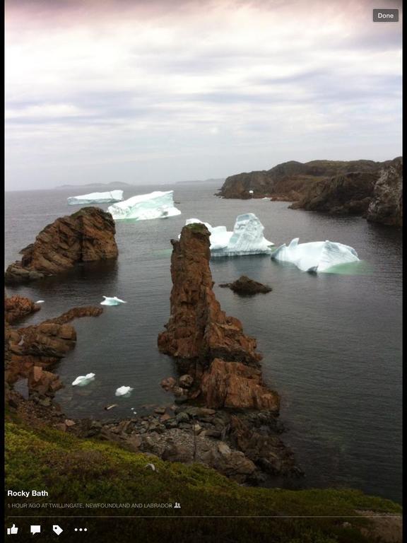 Whitsha Inn B&B Twillingate Exterior foto
